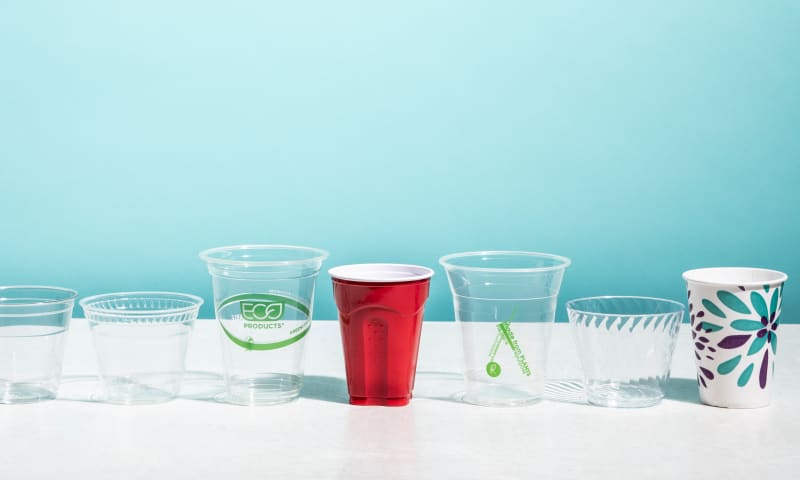 The Best Disposable Cups America s Test Kitchen